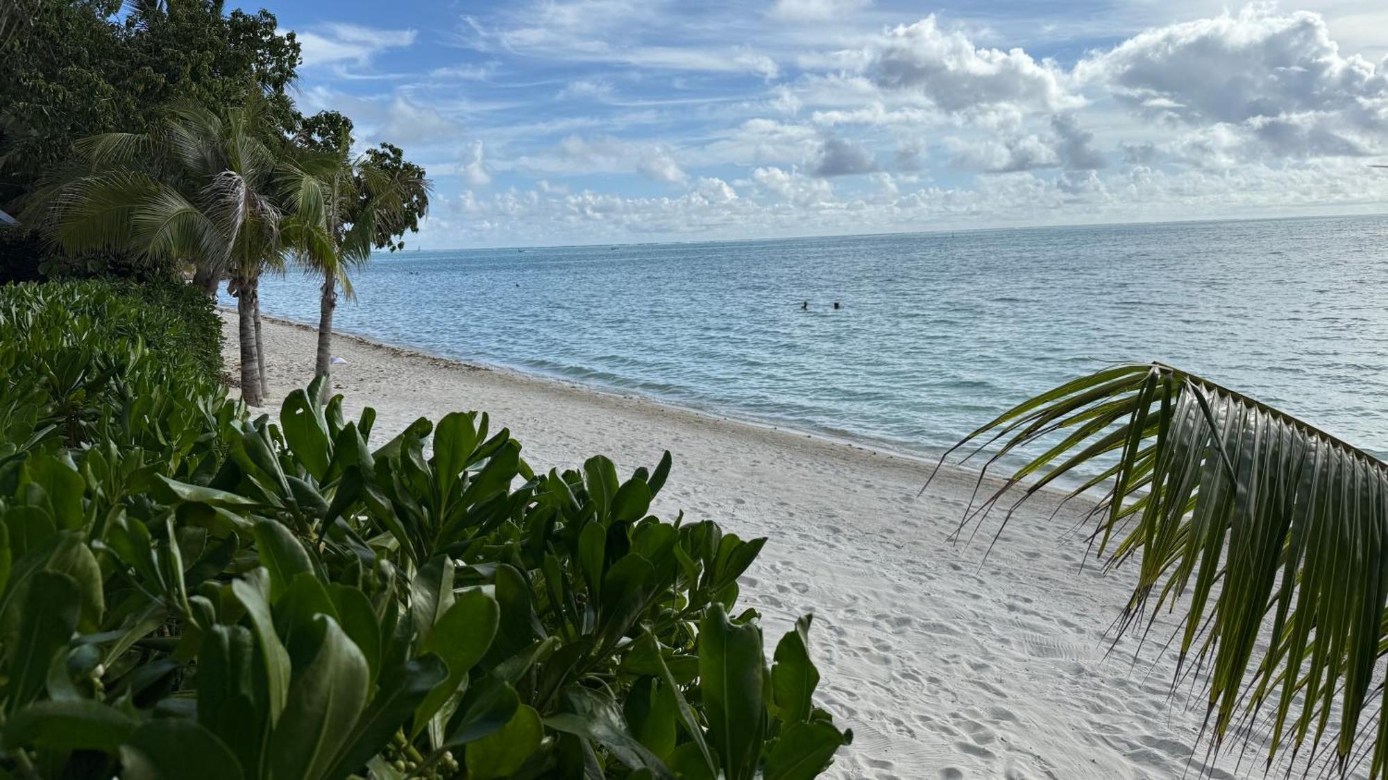 Blue Lagoon - Terrace View & Beach Access - Free Wifi Parking - Bora Bora Dream - Special Offer Exterior foto